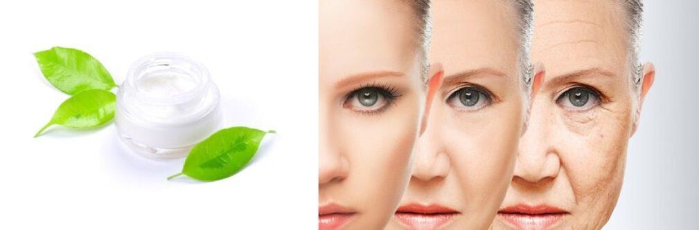 Masque facial anti-âge